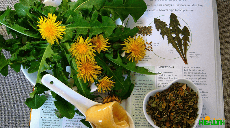 The Healing Power of Dandelions